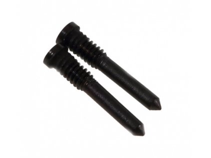 Pentalobe šroubky (2ks sada) černá pro Apple iPhone XS Max