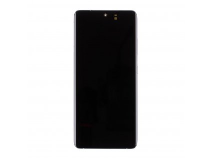 Samsung S21 Ultra LCD Displej + Dotyk OLED Silver