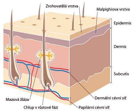 Pleťové sérum - nepostradatelný pomocník v péči o pleť