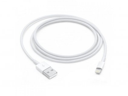 Lightning to USB Cable (1 m) / SK