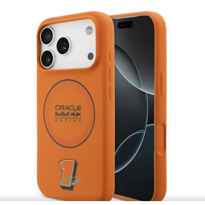 Snímek obrazovky 2025 12 11 155319