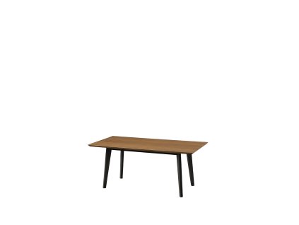 Konferenčný stolík LEVADA 41, dub Rustikal