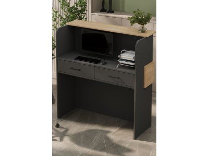 frontdesk pult3