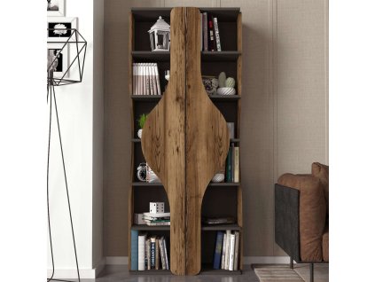 Policový regál TOTO, lydia/antracit