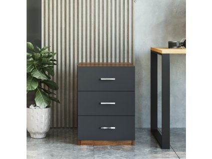 Office komoda VARIO 3, baroko/antracit