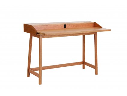 Saint James Desk Oak 08