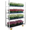wozek dunski metalowy na kolkach na kwiaty do sklepu kwiaciarni do trasportu 3 polki