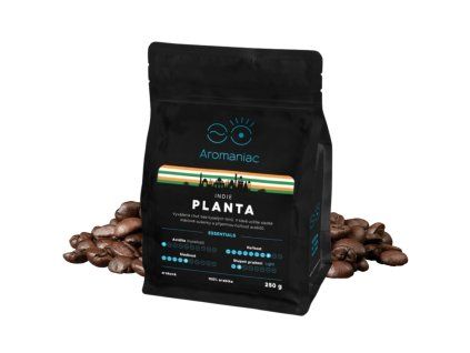 kava india planta beans 250g