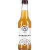bala21 kombucha orange 330ml best coffee cz