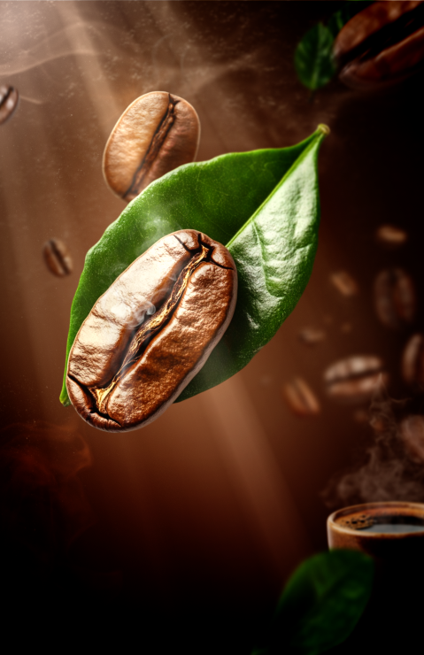 A coffee bean placed on a leaf, with additional beans in the background