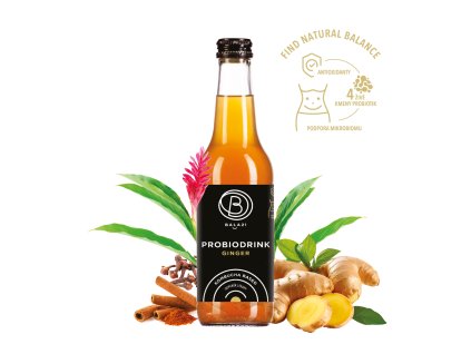 BALA21 photo web2024 czOK2