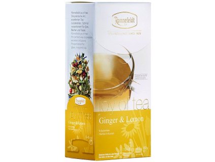 Ginger 1