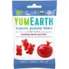 the best mocafino yum earth pomegranate gummy bears