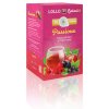passione lollo the best