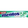 mentos pure fresh 1pc 15.5g the best coffee Czech Republic