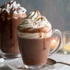 hot chocolate cocoa the best
