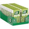 nejkafe tictac spearmint draze 18g 24ks