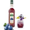 teisseire blueberry2 0.7l nejkafe cz