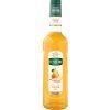 teisseire hruska3 0.7l best coffee cz