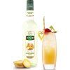teisseire ginger 0.7l best coffee cz