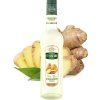 teisseire ginger2 0.7l miglior caffè cz