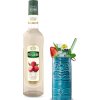 teisseire litchi3 0,7l nejkafe cz