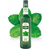 teisseire mata 0,7l nejkafe cz
