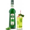 teisseire mata2 0,7l nejkafe cz
