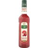 teisseire grapefruit litchi2 0,7l nejkafe cz