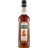 teisseire slaný karamel3 0,7l nejkafe cz