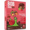 snek bob choco jablko jahoda 100g nejkafe cz