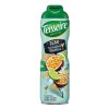 Teisseire Passion Fruit Martini Zero 2 nejkafe cz
