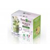 zdravy napoj foodness zensen matcha caj kapsle do dolce gusto 10 kusu