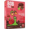 snek bob choco jablko jahoda 100g nejkafe cz