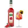 teisseire granatove jablko3 0,7l nejkafe cz