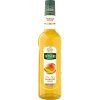 teisseire mango 0,7l nejkafe cz