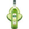 teisseire okurka 0,7l nejkafe cz