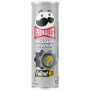 Pringles Fallout 76 Mystery Flavour 165 g