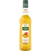 teisseire mango 0,7l nejkafe cz