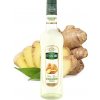 teisseire ginger2 0,7l nejkafe cz