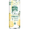 perrier chic citrus fizz 250ml nejkafe cz