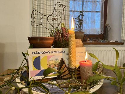 Dárkový poukaz na letní kurzy ve Světcích