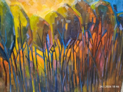 PHOTO 2026 01 25 15 16 30 (1)