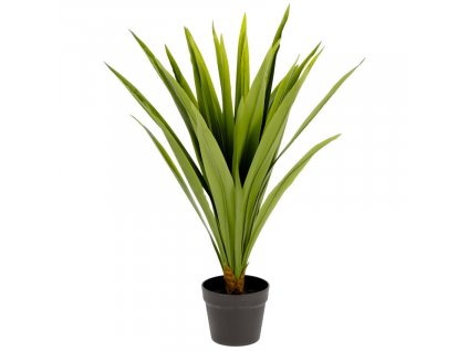 Művirág Kave Home Yucca 80 cm