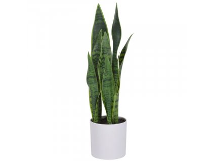 Művirág Kave Home Sansevieria