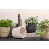 Zöld cement virágcserép Osiris Ø 14 cm