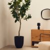 394640 5 umela kvetina kave home ficus 210 cm fv interier 25