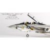 F-14A Tomcat USN VF-84 Jolly Rogers, AJ211, USS Nimitz, 1978