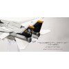 F-14A Tomcat USN VF-84 Jolly Rogers, AJ211, USS Nimitz, 1978