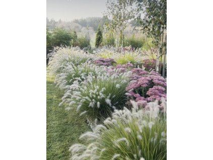 f6f05b19a7bd3385bf56a2f5dc4a325e